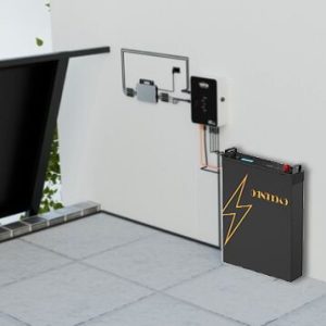 TENTEK EMS Controller 1.6kW mit Smart Meter für Balkonkraftwerke